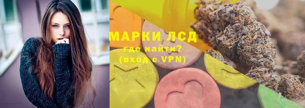 прущие грибы Баксан