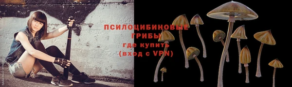дурь Балабаново