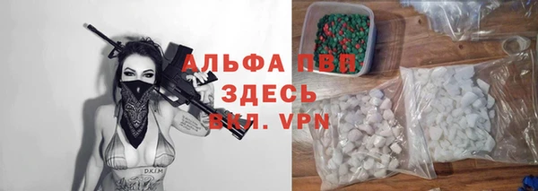 прущие грибы Баксан