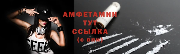 прущие грибы Баксан