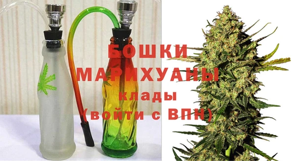 прущие грибы Баксан